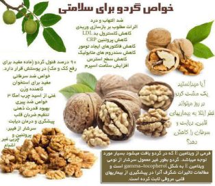 اینفوگرافیک خواص گردو