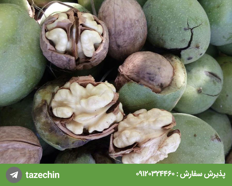 خرید گردو تویسرکان خرید گردو تویسرکان