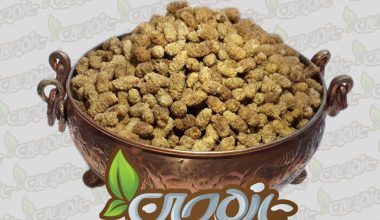 خواص توت سفید