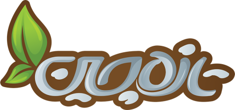 استارتاپ تازه چین