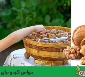 خواص گردو برای کودکان