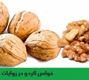 خواص گردو در روایات معصومین و طب اسلامی