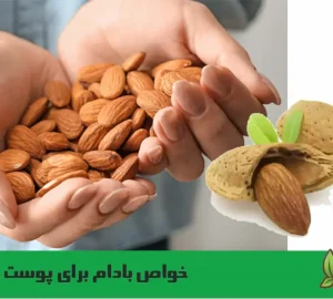 خواص بادام برای پوست و زیبایی