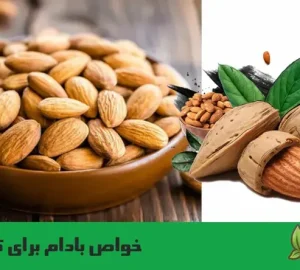 خواص بادام برای کودکان