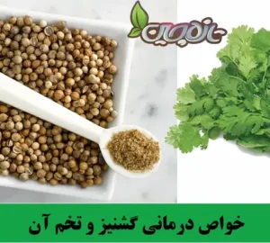 خواص درمانی گشنیز و تخم آن