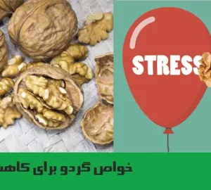 استرس دارید؟ چرا گردو نمی‌خورید؟