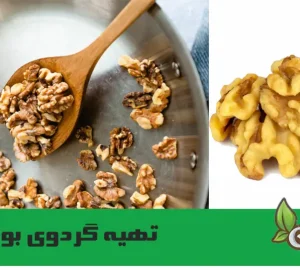 تهیه گردوی بو داده با دو روش متفاوت