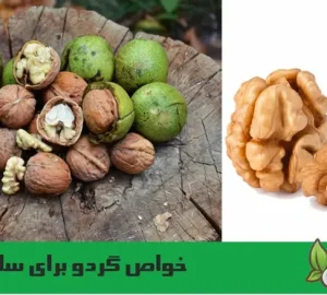 فواید گردو برای سلامتی