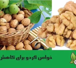 خواص گردو برای کاهش چربی خون