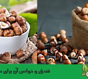 خواص فندق برای سلامتی