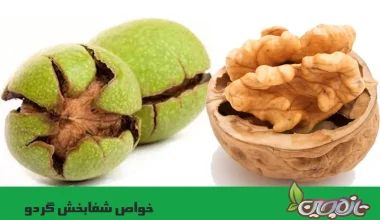 خواص شفابخش گردو