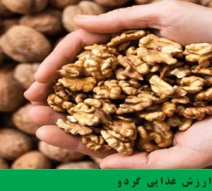 اگر ارزش غذایی گردو را نمی‌دانید این مقاله را بخوانید