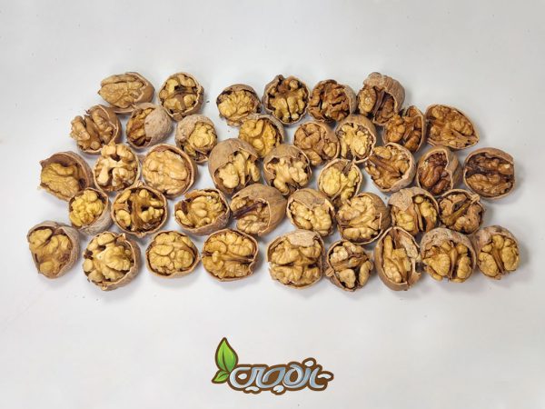 گردو با پوست تویسرکان «یک کیلو»